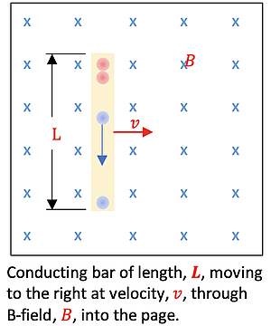A conducting bar of length L is moving to the right with velocity v through a magnetic field B, which is directed into the page. Positive and negative charges separate along the bar due to the magnetic forces.
