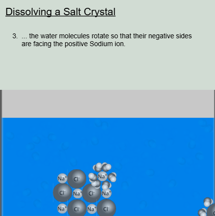 Dissolving a Salt Crystal