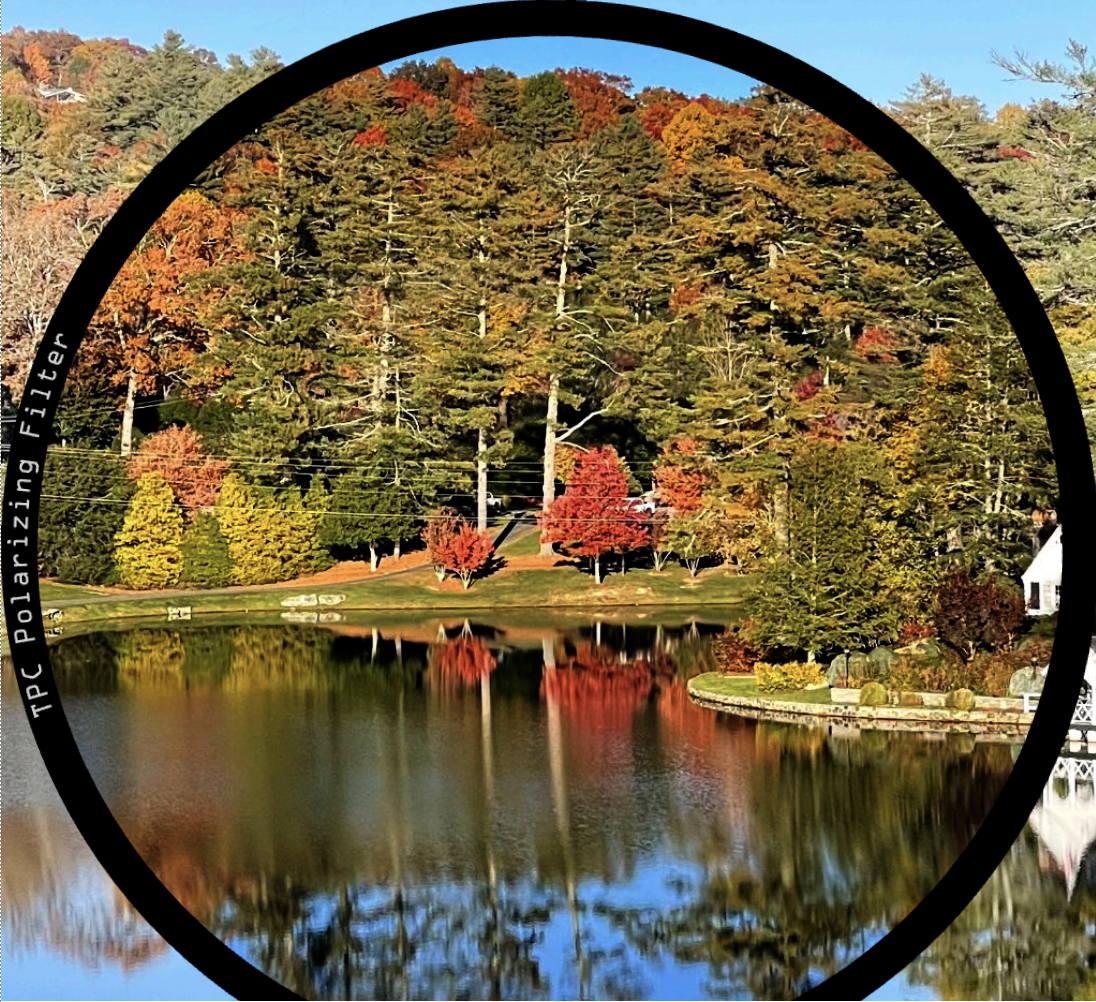 Polarization by Reflection