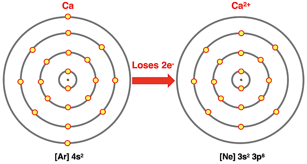 Electron shell diagrams for Ca and its 2+ ion.