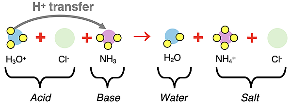 Particle diagram representing complete ionic equation for reaction between HCl and NH3. Proton transfer is shown. Acid, base, salt, and water are labeled.