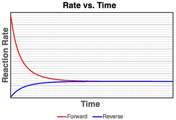 Rate vs. Time graph for the forward and the reverse reaction.