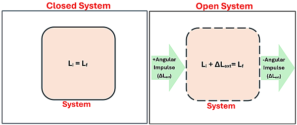 An illustration of a Closed vs. Open System in respect to Angular Momentum initial and final. The closed system shows a box with L sub i (Initial Angular Momentum) = L sub f (Final Angular Momentum). The Open System shows a perforated box with a green arrow on the left coming from outside and going into the box with the text + Angular Impulse (Delta L sub ext), an arrow on the right going from the box outwards with the text negative angular impulse (delta L sub ext), and in the box the equation L sub i + Delta L sub ext (Change from external Angular Momentum) = L sub f.