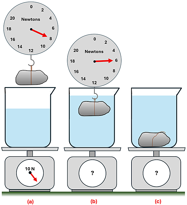 An 8 Newton rock over a 10 Newton flask that's on top of a weight, in 3 positions. In the first position (a) the rock is above the water and attached to a scale showing 8 newtons. The flask of water is on a scale and the scale shows 10 Newtons for the flask and water. In position B, it shows the rock submerged in the water, and the scale it's attached to now shows 6 newtons (no water spilled), and the scale has an unknown weight on it. In position C, the rock is no longer attached to the scale, and is sitting on the bottom of the water flask, again the scale below the flask has an unknown value.