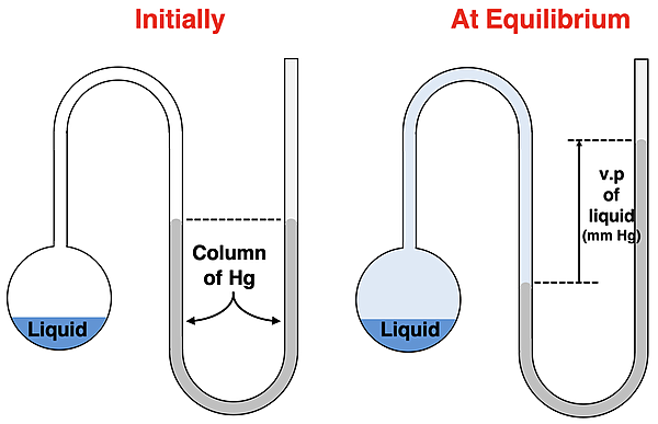 Apparatus for measuring vapor pressure. Flask with liquid connected to a U-tube filled with a column of Hg. The difference in heights of the column is related to the vapor