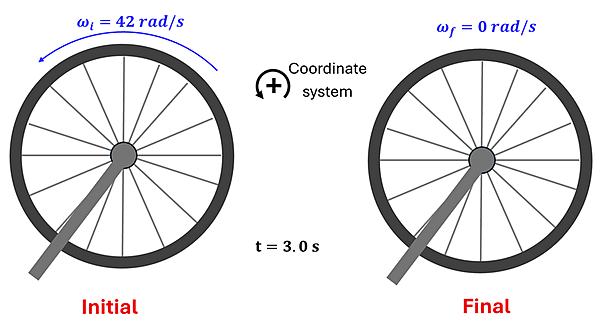 Diagram of the wheel and variables for Check Understanding 1. It shows 2 bike wheels, the first spinning with a blue curved arrow with omega sub i (initial angular acceleration) equals 42 rad per second and