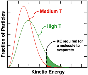 Two Maxwell-Boltzmann distribution curves for two different temperatures, showing why higher temperatures lead to higher vapor pressures.