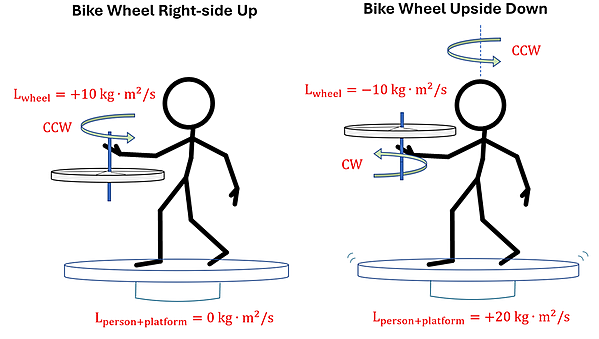 Two illustrations (before and after) are shown of a person holding a wheel on a rod. The initial shows the bike wheel rotating Counterclockwise with L sub wheel = positive 10 kg meters squared per second, and the L sub person + platform = 0 kg meters squared per second. The second illustration shows the wheel flipped, now L sub wheel is negative 10 kg meters squared per second and the rotation Clockwise. A counterclockwise vector is now shown above the person, and L sub person + platform = positive 20 kg meters squared per second.