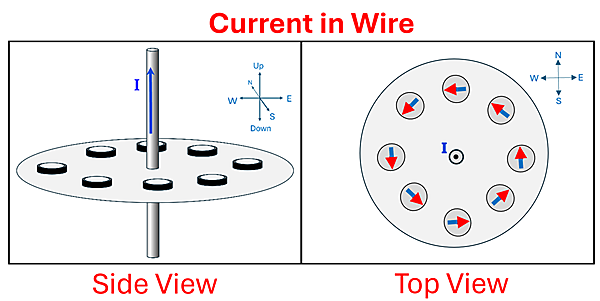 Two pictures of a wire (top to bottom) with a current going upwards on the wire. The wire is surrounded by magnets that now are aligning in a counter-clockwise fashion around the wire on due to the magnetic field.