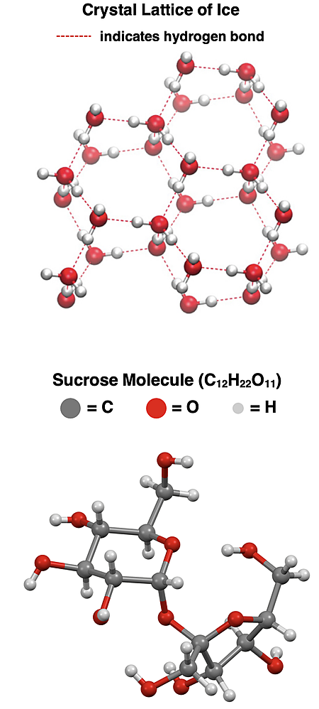 Comparison of the crystal lattice of ice and sucrose.
