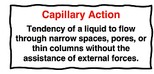 Definition of capillary action as the tendency of a liquid to flow through narrow spaces, pores, or thin columns without the assistance of external forces.