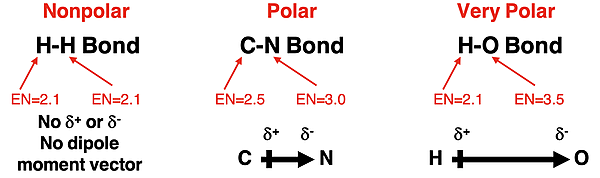 Contrast of three bond types – nonpolar, polar, ionic - showing electronegativity difference, partial charges, and dipole moment vectors.