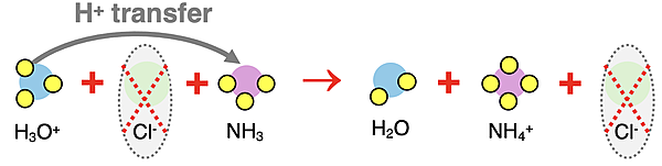 Particle diagram representing net ionic equation for reaction between HCl and NH3. Proton transfer is shown.