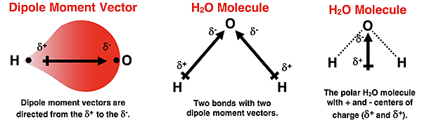 Diagram depicting two bond moment vectors in the water molecule and the overall dipole moment vector of the molecule.