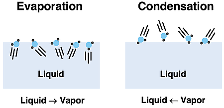 Two particle diagrams – one of evaporation and one of condensation – illustrating the nature of the liquid-vapor equilibrium.