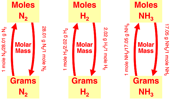 Flowchart showing how to use molar masses to convert from moles to grams (or vice versa) for either H2, N2, or NH3 in the ammonia synthesis reaction.