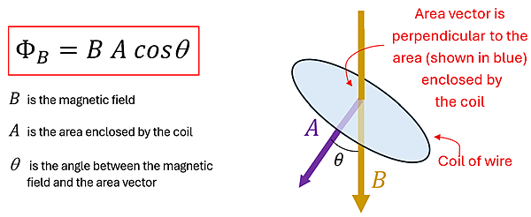 A diagram showing the magnetic flux equation (flux equals magnetic field (B) times Area enclosed by coil (A) times the cosine of the Angle between the magnetic field and area vector (Theta). A picture shows a circular area at an angle with Theta between the magnetic field piercing it and the direction the area is facing with theta between them.