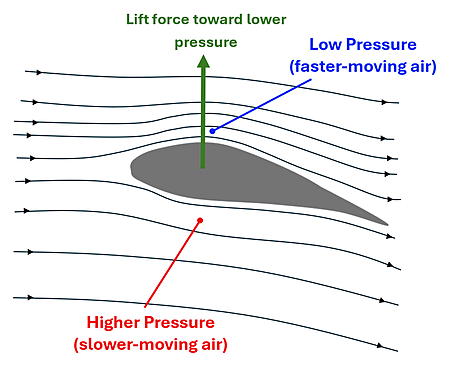 A side view of an airplane's wing foil is shown, which has a taller 'hump' on the top than the bottom, and a curved back. Wind Streamlines are drawn, showing that the air over the top has to travel farther (and faster) than the air on the bottom, this creates a low pressure (faster moving air) on the top and a higher pressure (slower-moving air) on the bottom, which creates a left force towards the lower pressure (indicated by a green force arrow up).
