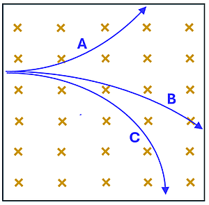 An image showing 3 particles (A B and C) that moved to the right through the magnetic field that is going into the page (represented by x's).  A's path bends upwards, B and C bend downward.