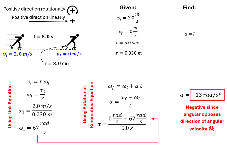 The solution to Check Understanding shown in 5 parts. First part visually shows a person on skates moving with a velocity of 2 meters per second on one side, and 0 meters per second on the other, with t = 5 seconds and r = 3 cm (or 0.03 meters). The given is the velocity initial, velocity final, time, and radius where the find is alpha (angular velocity). The 3rd section shows the linking equations to convert velocity initial and final into angular velocity initial and final by taking the values and dividing them by the radius (0.03 meters), this gives us an initial angular velocity of 67 rad per second and final angular velocity of 0. The Fourth second we find the equation to find alpha (angular velocity), which will be omega sub f (final angular velocity) = omega sub i (initial angular velocity) plus alpha (angular acceleration) times t (time). Plugging in values and solving we get alpha (angular acceleration) = -13 rad per second squared (negative since it's opposing the direction of angular velocity).