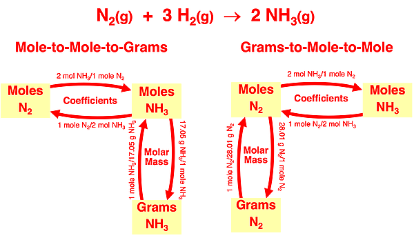 Flow diagram illustrating conversion factors linking grams of a reactant to moles of a product in stoichiometry; specific to ammonia synthesis reaction.