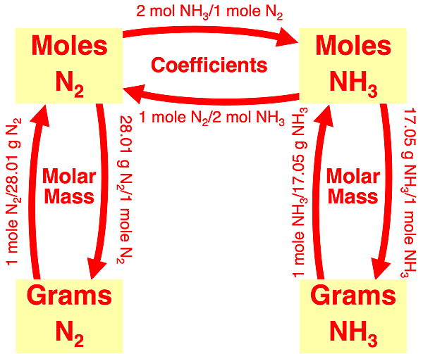 Flow diagram illustrating conversion factors linking grams of a reactant to grams of a product in stoichiometry; specific to ammonia synthesis reaction.