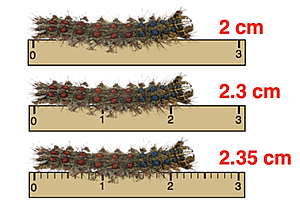 Example of how the divisions on an instrument scale affects the number of significant digits