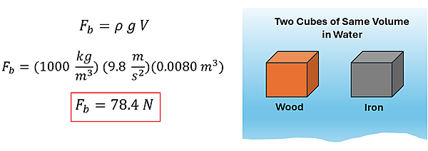 An equation and an illustration are shown. For the illustration, a cube of wood and a cube of iron are shown floating in water. Two cubes of same volume. To the left, the equation is given F sub b = rho g V. plugging in values, we get F sub b = 1000 times 9.8 times 0.008 cubic meters, which comes to 78.4 Newtons.