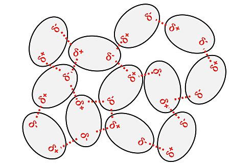 Molecules from arrangements with the - pole of one molecule as close as possible to the + pole of another molecule ... and vice versa. Being a liquid, there is little in the way of structured organization.