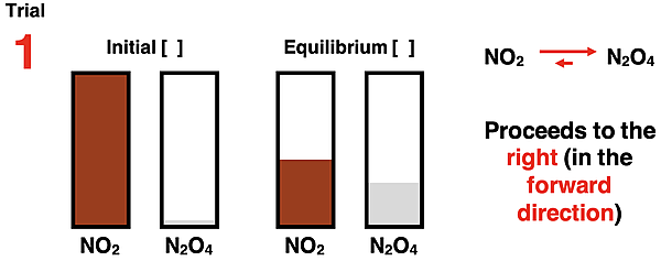 Bar charts showing initial reactant and product concentrations and equilibrium reactant and product concentrations for the 2 NO2 N2O4 system.